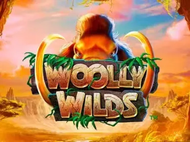 Max Win Casino screenshot